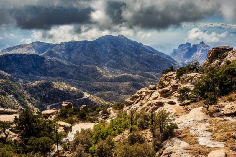 Tucson: Mt Lemmon & Saguaro NP Self-Guided Bundle Tour - App Features