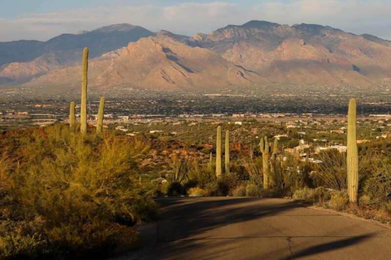 Tucson: Mt Lemmon & Saguaro NP Self-Guided Bundle Tour - Preparation and Requirements