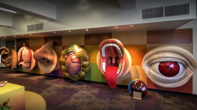 Tucson: Southern Arizona Attractions Discount Pass - Customer Ratings and Reviews