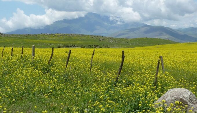 Tucumán: Tafí Del Valle Full Day Tour - Frequently Asked Questions