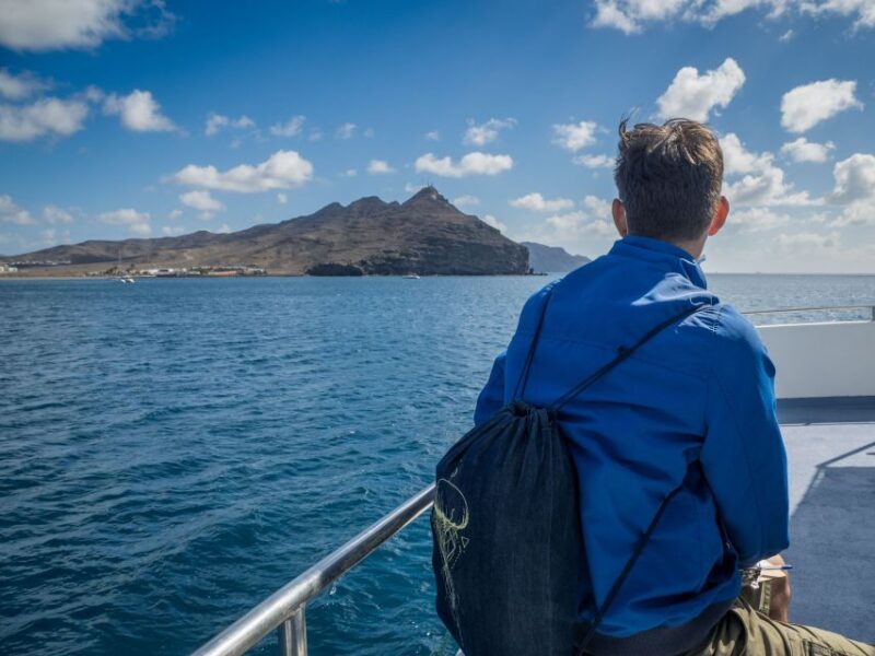 Tuineje: Southeast Fuerteventura Boat Cruise With Lunch - Whale Watching Opportunities
