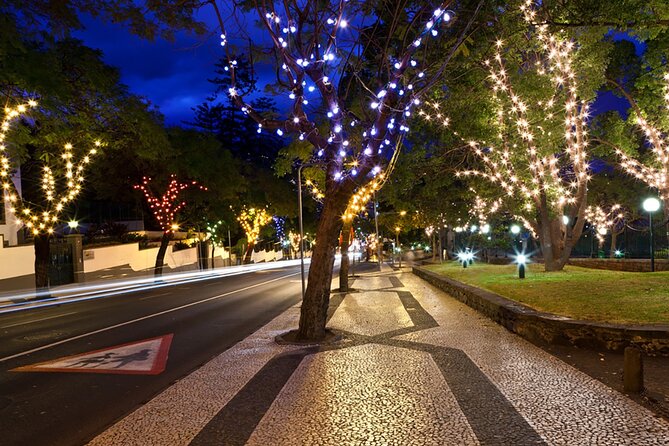 Tuk Tuk Funchal Magic Christmas Lights - Quick Points