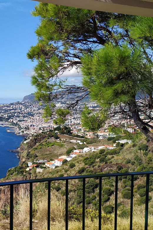 Tuk Tuk Halfday Private Tour - Madeira Island - Booking Information