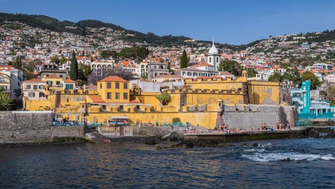 Tuk Tuk Halfday Private Tour - Madeira Island - Scenic Viewpoints