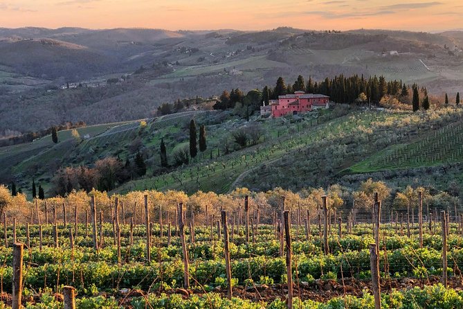 Tuk Tuk in Chianti - Picturesque Landscapes of Chianti
