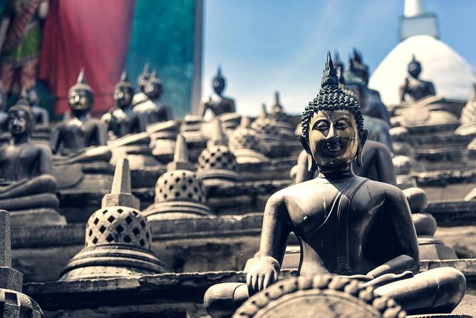 Tuk Tuk Private City Tour in Colombo - All-inclusive - Tour Features and Activities
