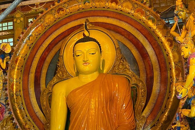 Tuk Tuk Private Safari Tour Exploring Sri Lankas Capital Colombo - Meeting and Pickup Details