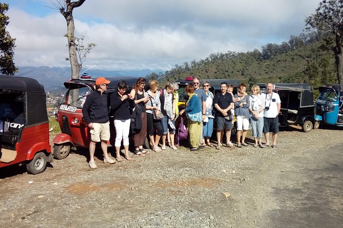 Tuk Tuk Safari and Picnic in the Tea Plantation From Ella,Haputale & Bandarawela - Uncover the Panoramic Views of Liptons Seat