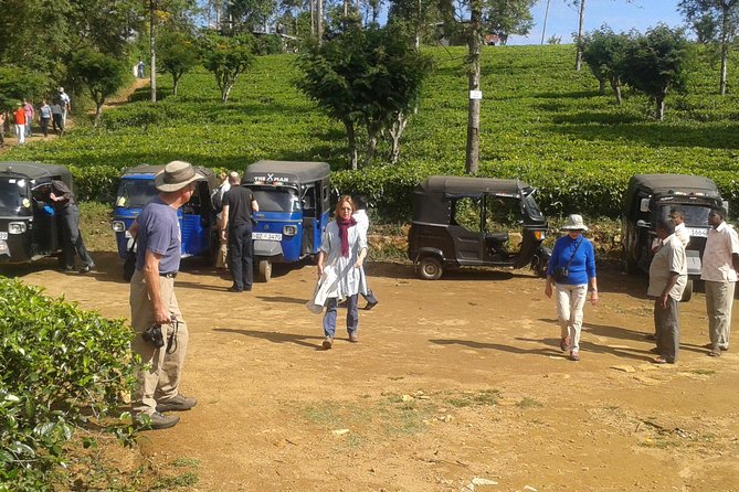 Tuk Tuk Safari and Picnic in the Tea Plantation From Ella,Haputale & Bandarawela - Enjoy Convenient Pickup and Meeting Options