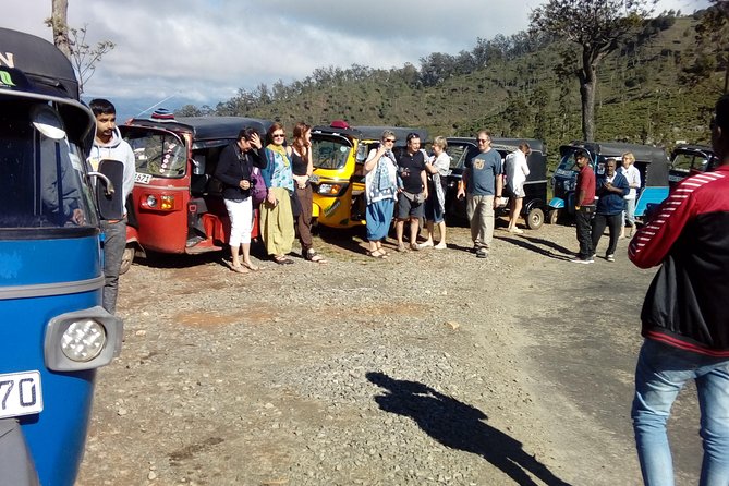 Tuk Tuk Safari and Picnic in the Tea Plantation From Ella,Haputale & Bandarawela - Discover Nearby Attractions and Activities