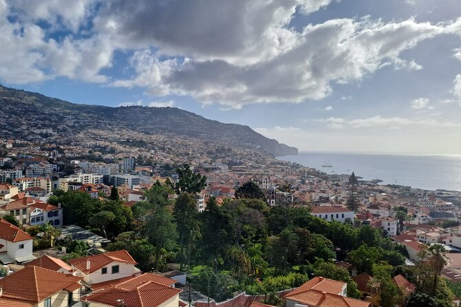 Tuk Tuk Tour in Funchal - Accessibility and Participation