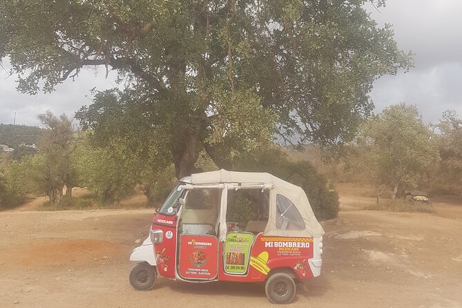 Tuk Tuk Tour- the Best Way to See Coast and Country Side - Accessibility