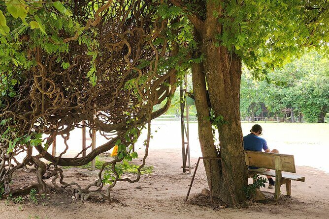 Tuk-Tuk Tour to Killing Field and Genocide Museum - Authenticity and Respect