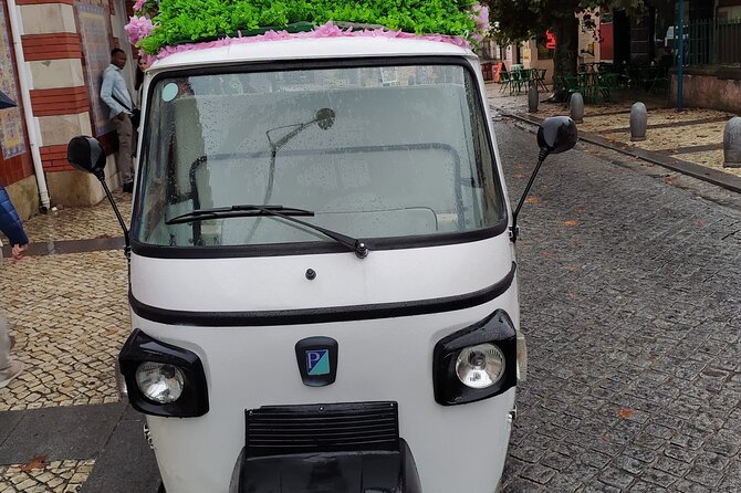 Tuk Tuk Transfer With Sintra Pena Ticket From Meeting Point - Accessibility and Public Transportation