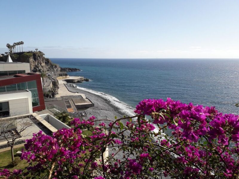 Tuk Tuk Wine Tour - Madeira Island - Key Points