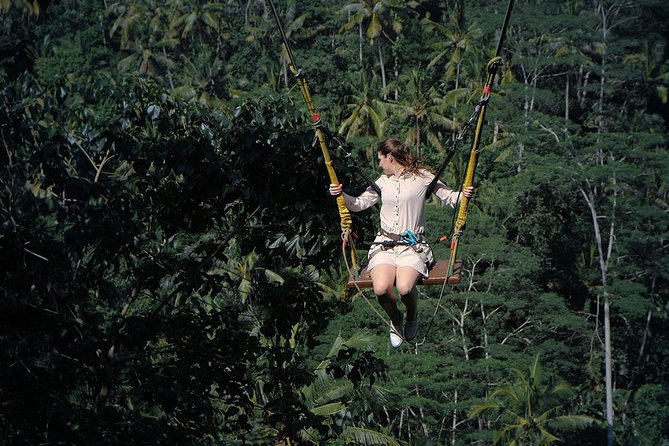 Tukad Cepung Waterfall, Bali Swing & Traditional Village Day Tour - Experience the Bali Swing