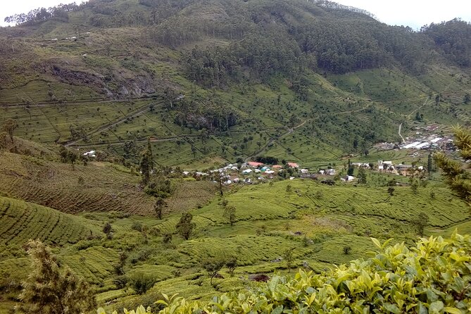 Tuktuk Safari in Tea & Spice Plantation,View Points,Upper Diyaluma Waterfalls, - Good To Know