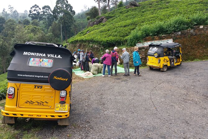 Tuktuk Safari in Tea & Spice Plantation,View Points,Upper Diyaluma Waterfalls, - Experience Highlights
