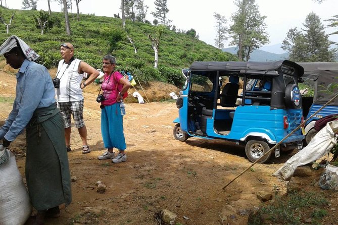 Tuktuk Safari in Tea & Spice Plantation,View Points,Upper Diyaluma Waterfalls, - Meeting and Pickup
