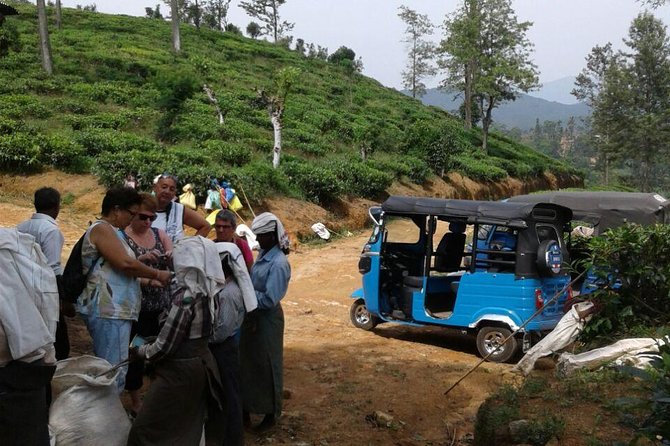 Tuktuk Safari in Tea & Spice Plantation,View Points,Upper Diyaluma Waterfalls, - Inclusions