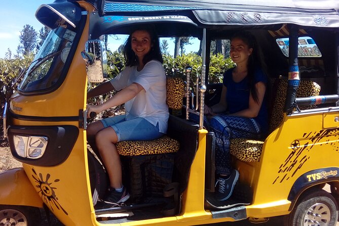 Tuktuk Safari in Tea & Spice Plantation,View Points,Upper Diyaluma Waterfalls, - Physical Fitness Level