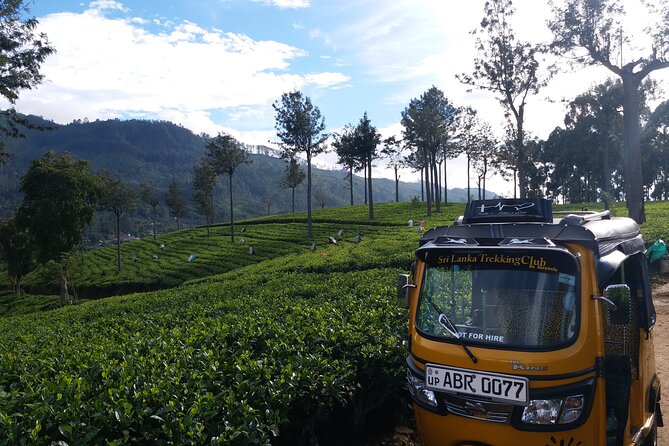 Tuktuk Safari in Tea & Spice Plantation,View Points,Upper Diyaluma Waterfalls, - Accessibility Considerations