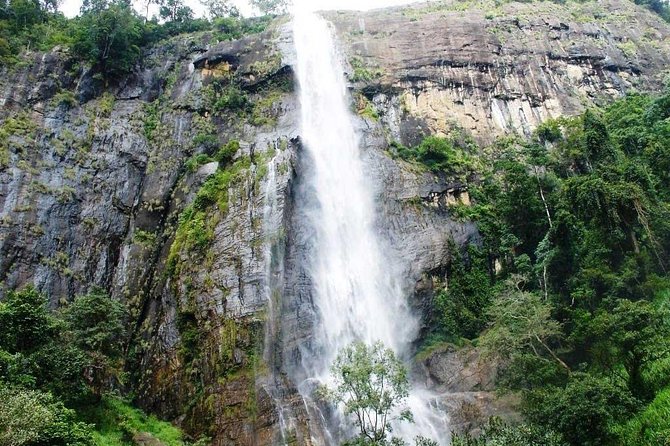 Tuktuk Safari in Tea & Spice Plantation,View Points,Upper Diyaluma Waterfalls, - Pricing and Availability