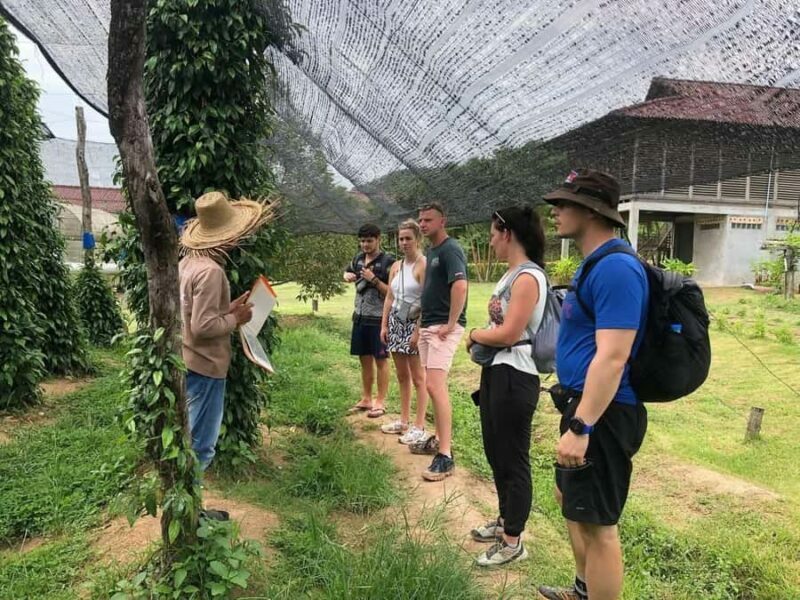 Tuktuk Tour: Visit Pepper Farm, Salt Field & Secret Lake - Who Will Love This Tour?
