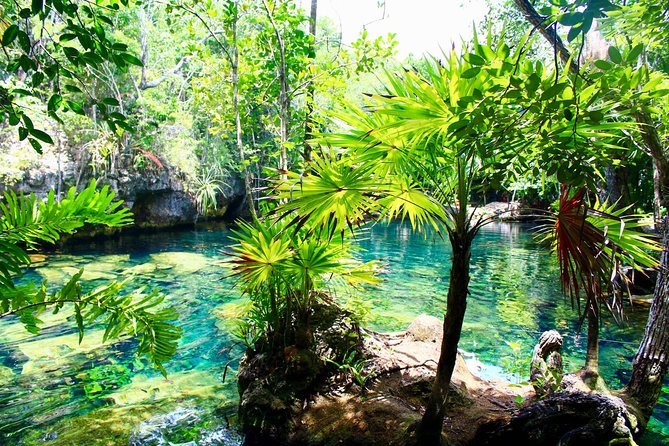 Tulaka Cenote Experience - Exploring the Cenotes