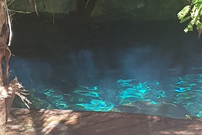 Tulaka Cenote Experience - Frequently Asked Questions