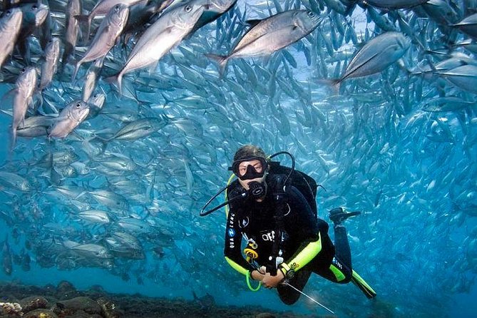Tulamben Diving Tour Shipwreck USS Bali - Diver Suitability and Requirements