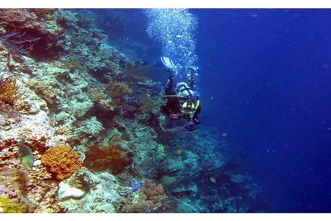 Tulamben Diving USS Liberty Shipwreck Scuba Dive - Shipwreck Exploration and Marine Life