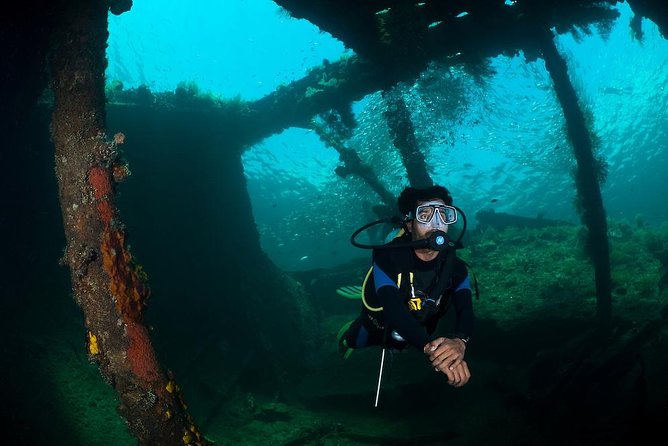 Tulamben Diving USS Liberty Shipwreck Scuba Dive - Diving Experience and Certification