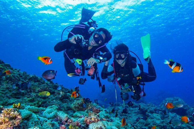 Tulamben Diving USS Liberty Shipwreck Scuba Dive - Schedule and Itinerary