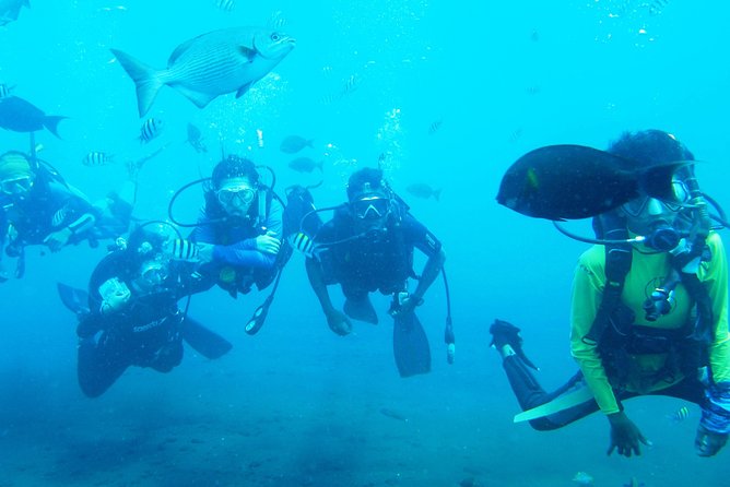 Tulamben Diving USS Liberty Shipwreck Scuba Dive - Reviews and Ratings