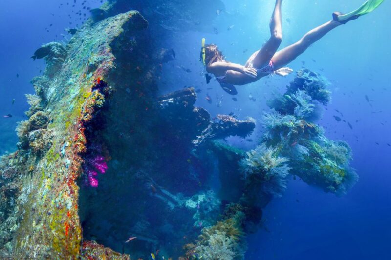 Tulamben: USAT Liberty Shipwreck Full-Day Snorkeling Trip - Key Points