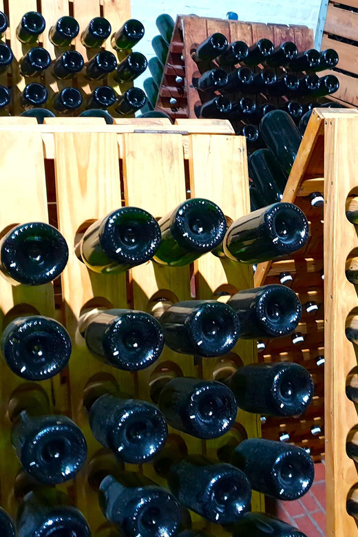 Tulbagh Wines. Private Tour With Winemaker. - Key Points