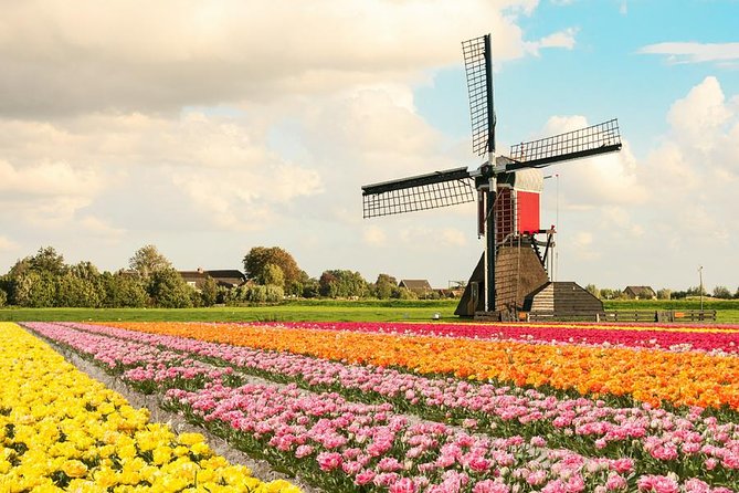 Tulip Experience and Keukenhof Flower Gardens Tour From Amsterdam - Optimal Flower Viewing Season