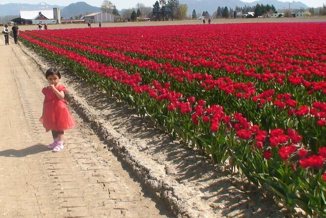 TULIP Festival @ Skagit Valley, La Conner & Deception Pass in SUV - Discovering La Conners Charming Waterfront