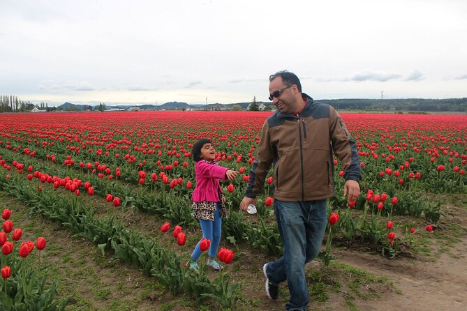 TULIP Festival @ Skagit Valley, La Conner & Deception Pass in SUV - Experiencing the Tours Inclusions