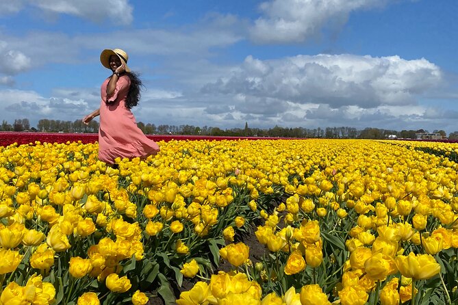 Tulip Field With a Dutch Windmill Tour From Amsterdam - Meeting and Pickup