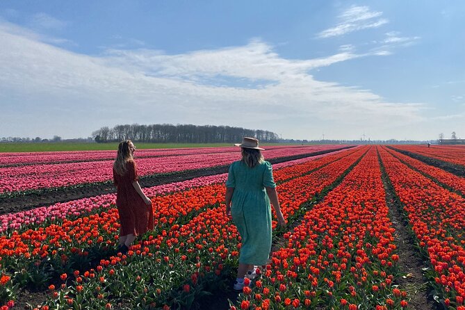 Tulip Field With a Dutch Windmill Tour From Amsterdam - Visiting a Windmill