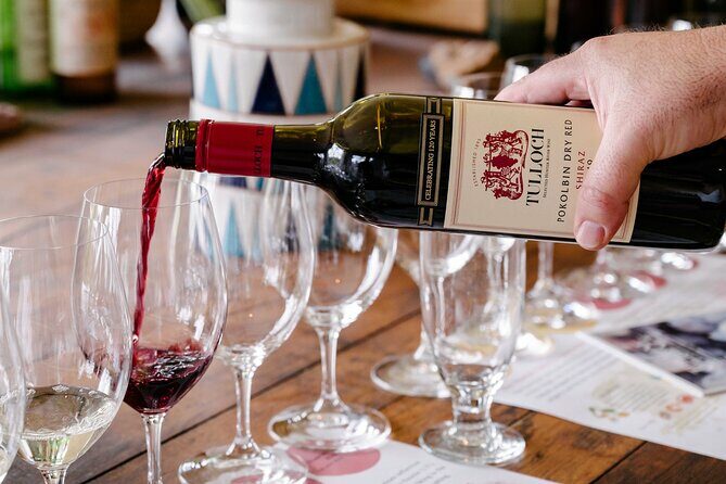 Tulloch Wines Hunter Heroes Wine Tasting with Local Cheese & Charcuterie Board - Authentic Feedback from Visitors