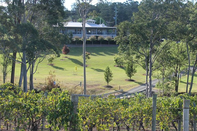 Tulloch Wines- Tasting of 6 Pokolbin Dry Red Shiraz Vintages With Charcuterie - Booking and Cancellation Policies