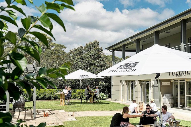 Tulloch Wines- Tasting of 6 Pokolbin Dry Red Shiraz Vintages With Charcuterie - Hunter Valley Terroir