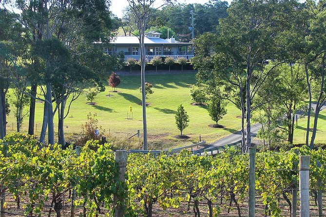 Tulloch Wines - Wine Tasting Paired With Local Handmade Chocolates - Tour Details and Inclusions