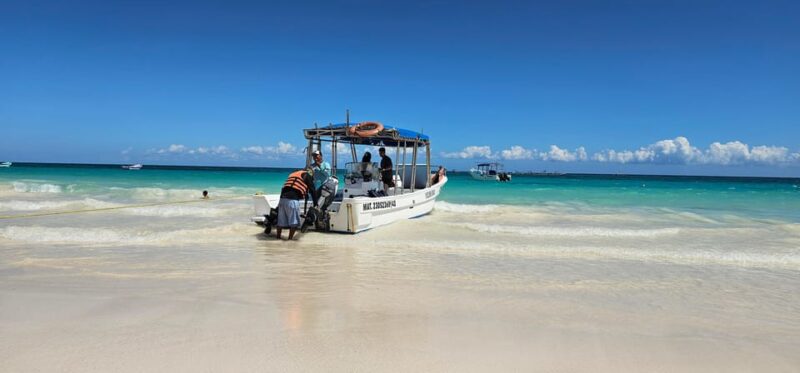 Tulum: 2-Hour Snorkeling in Two Spots of Tulums Reef - Snorkeling Highlights