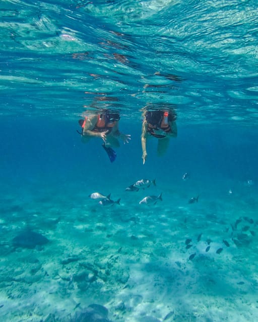 Tulum: 2-Hour Snorkeling in Two Spots of Tulums Reef - Frequently Asked Questions