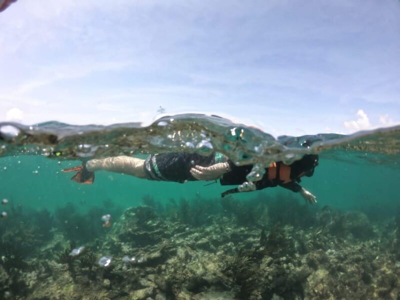 Tulum: 3 Hour Snorkel & Sailing Experience - Tour Availability