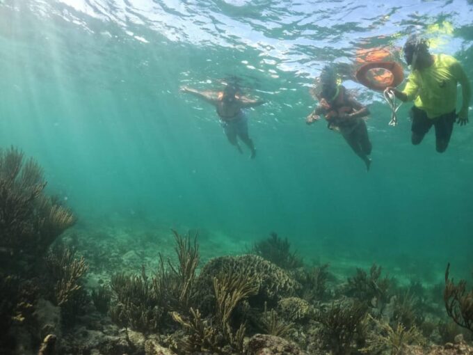 Tulum: 3 Hour Snorkel & Sailing Experience - Explore Mesoamerican Reef